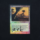 Windswept Heath Foil - Onslaught