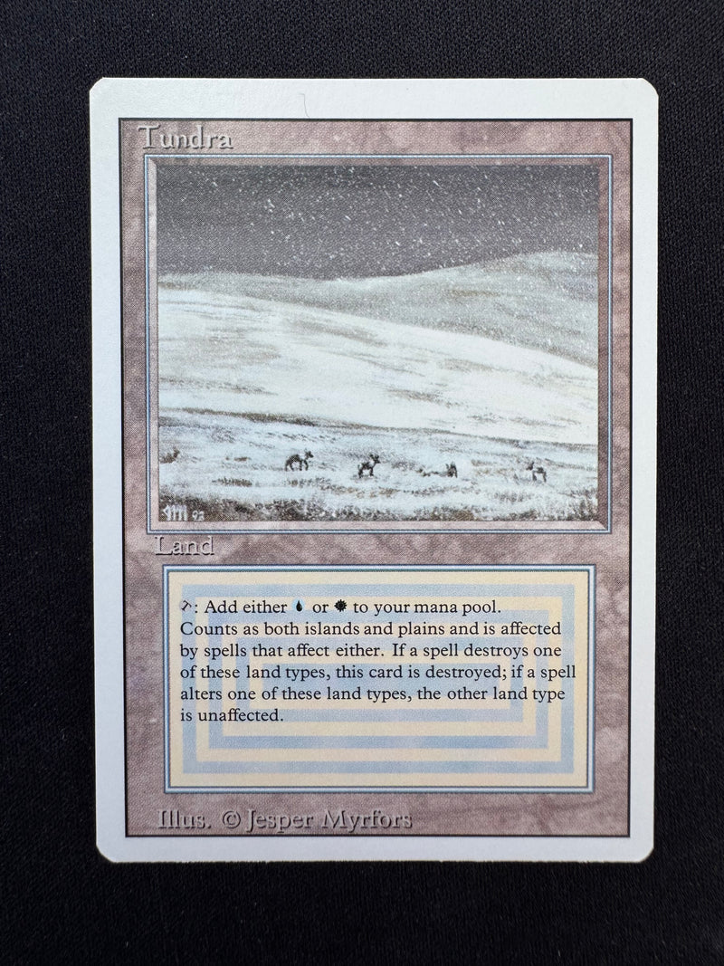 Tundra (REV)