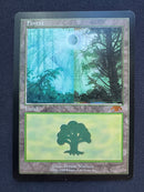 Forest - Guru