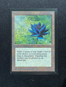 Black Lotus (CED)
