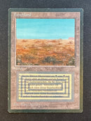 Scrubland - Revised Edition Foreign Black Border (FBB)