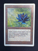 Black Lotus - Unlimited Edition