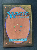 Veteran Bodyguard (LEB)