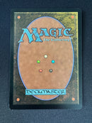 Test Print - M15 - Forest