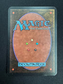 Savannah Lions (LEA)