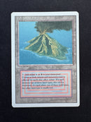 Volcanic Island (REV)