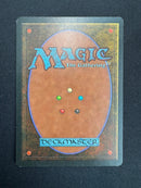 Land Equilibrium (LEG)