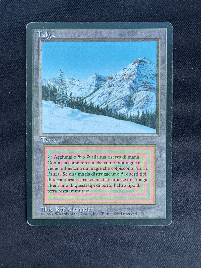 Taiga (FBB)