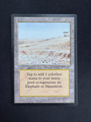 Elephant Graveyard (ARN)