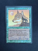 Wyluli Wolf (dark) (ARN)