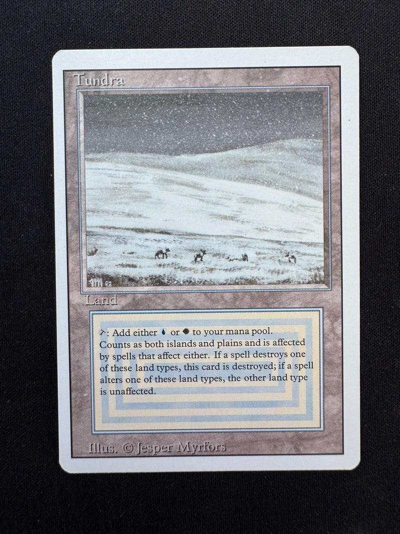 Tundra (REV)