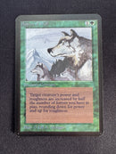 Aspect of Wolf (LEA)