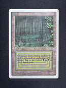 Bayou - Unlimited Edition