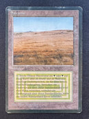 Savannah - Revised Edition Foreign Black Border (FBB)