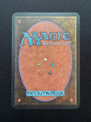 Tropical Island (LEA)