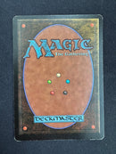 Birds of Paradise (LEB)