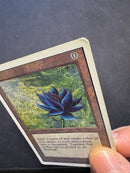 Black Lotus - Unlimited Edition