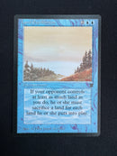 Land Equilibrium (LEG)