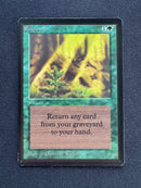 Regrowth - Beta Edition