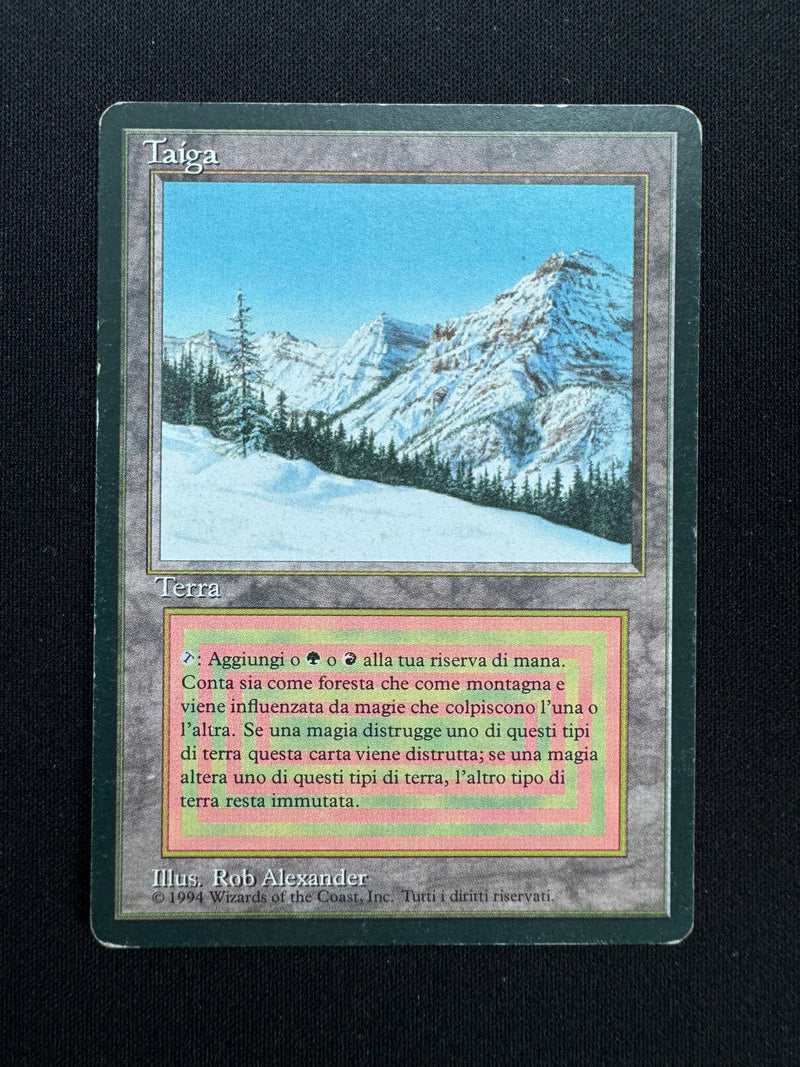 Taiga (FBB)