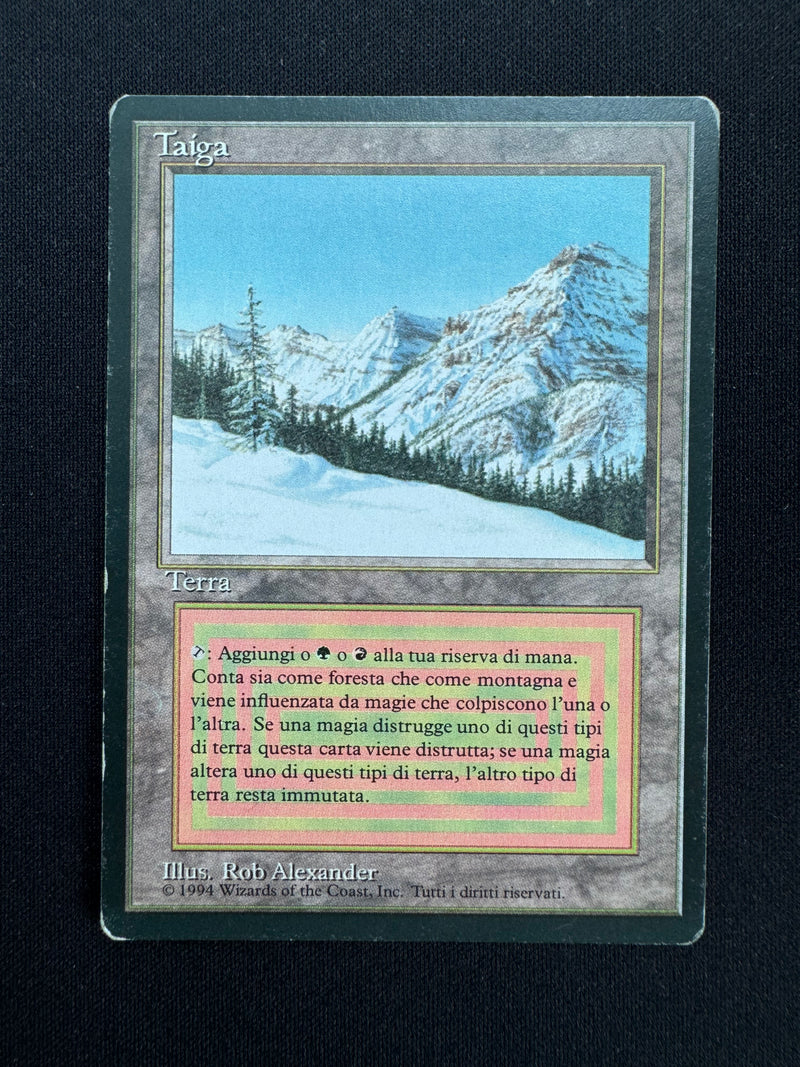 Taiga (FBB)