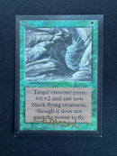 Web - Artist Proof (LEB-AP)