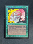 Llanowar Elves (LEB)