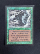 Web - Artist Proof (LEB-AP)