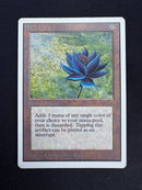 Black Lotus (UNL)