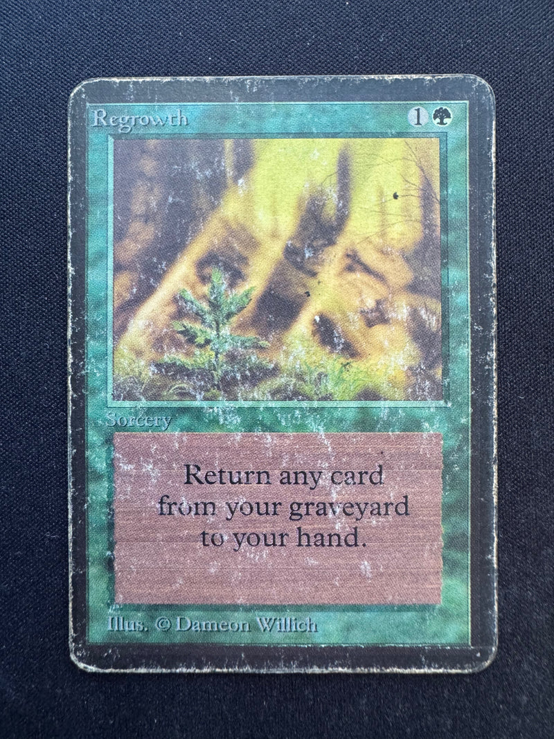 Regrowth (LEA)