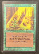 Regrowth - Beta Edition