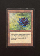 Black Lotus - Collectors' Edition