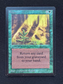 Regrowth - Beta Edition