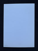 Braingeyser - Artist Proof Beta Edition