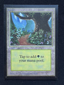 Forest (B) - Path - Artist Proof Beta Edition