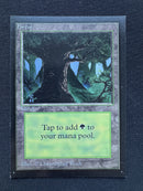 Forest (C) - Artist Proof Beta Edition