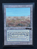 Scrubland - Artist Proof Beta Edition