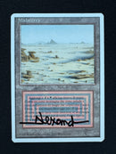 Badlands - Artist Proof Revised Foreign White Border
