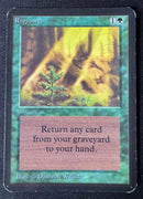 Regrowth - Alpha Edition