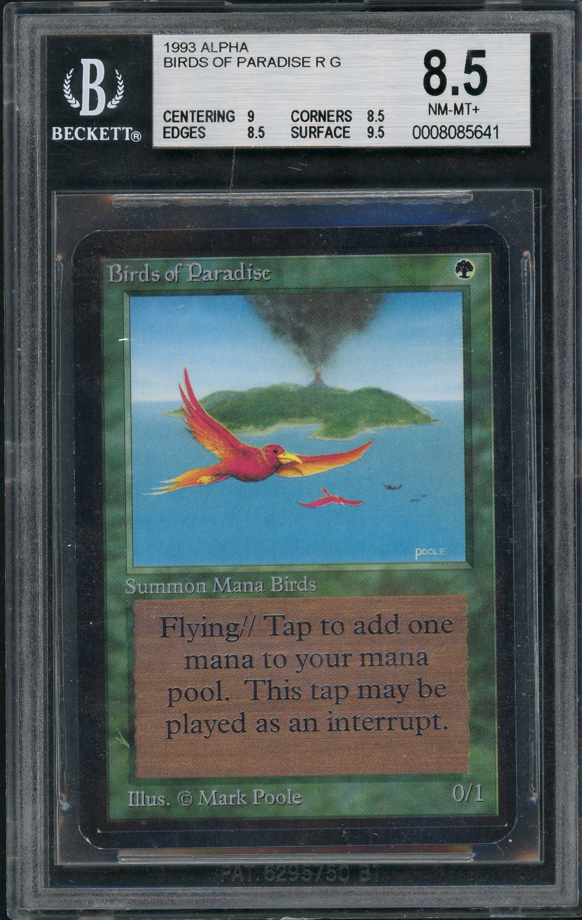 Birds of Paradise - Alpha Edition