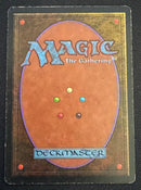 Tropical Island (REV)