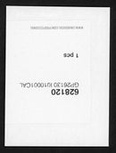 Test Print - Swarovski Crystal - Shivan Dragon