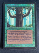 Ironroot Treefolk (LEA)