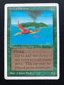 Birds of Paradise (UNL)