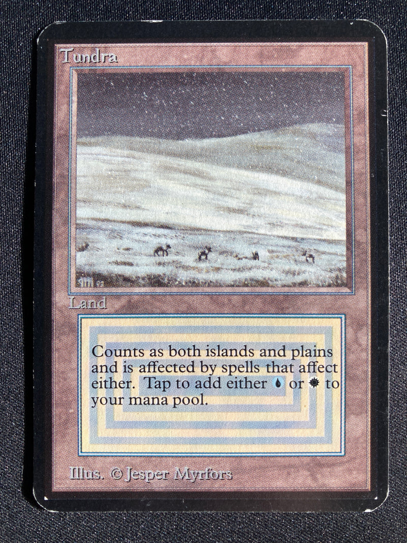 Tundra (LEA)