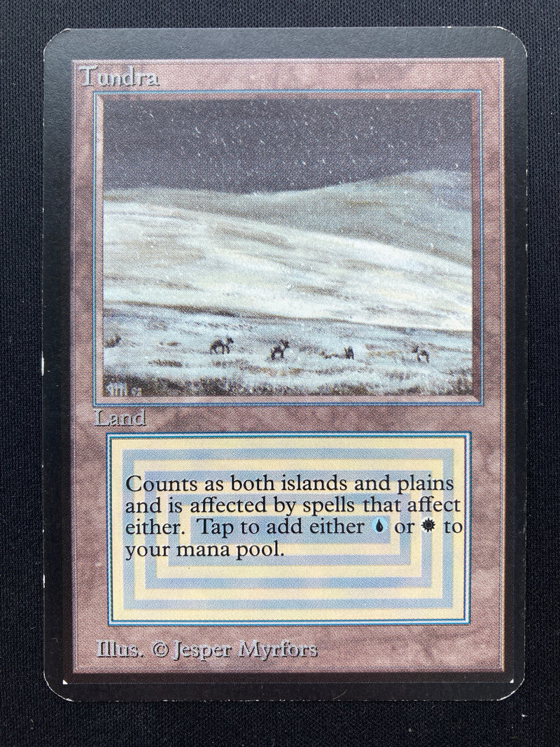 Tundra (LEA)