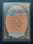 Birds of Paradise (UNL)