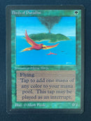 Birds of Paradise (LEB)