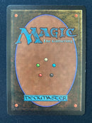 Birds of Paradise (LEB)