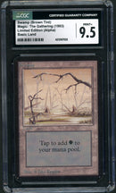 Swamp (B) - High Branch (LEA)